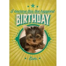 TREE FREE GREETING CARD I Declare